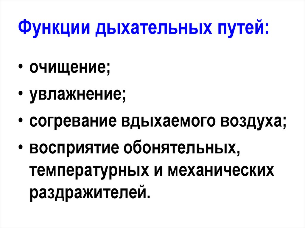 Функции дыхательных путей: