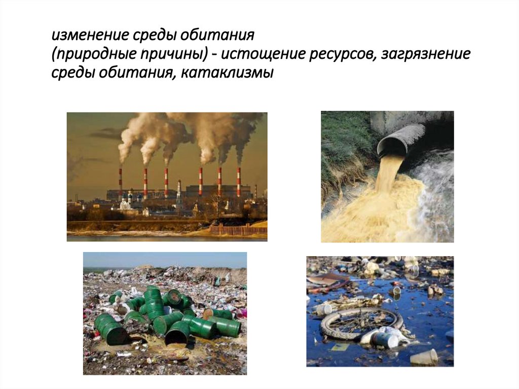 изменение среды обитания (природные причины) - истощение ресурсов, загрязнение среды обитания, катаклизмы