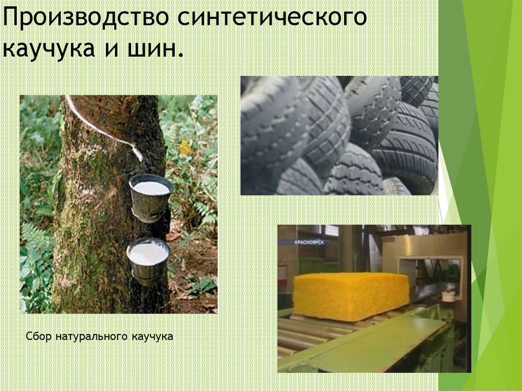 Производство синтетического каучука и шин. Сбор натурального каучука