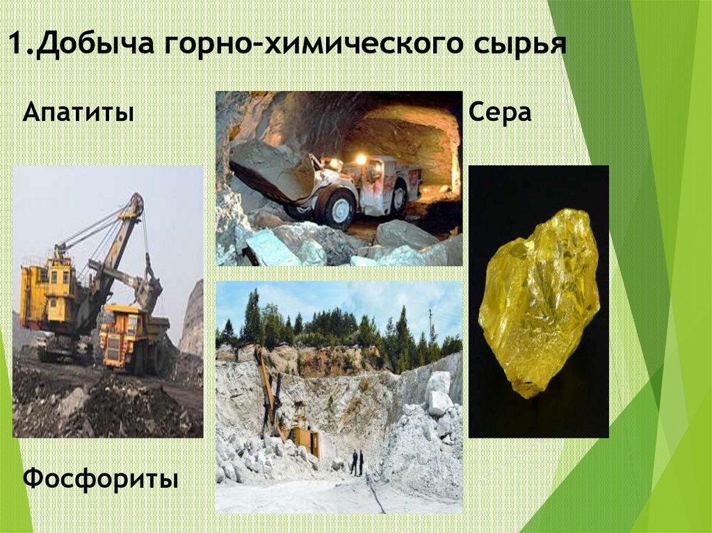 1.Добыча горно–химического сырья Апатиты Сера Фосфориты