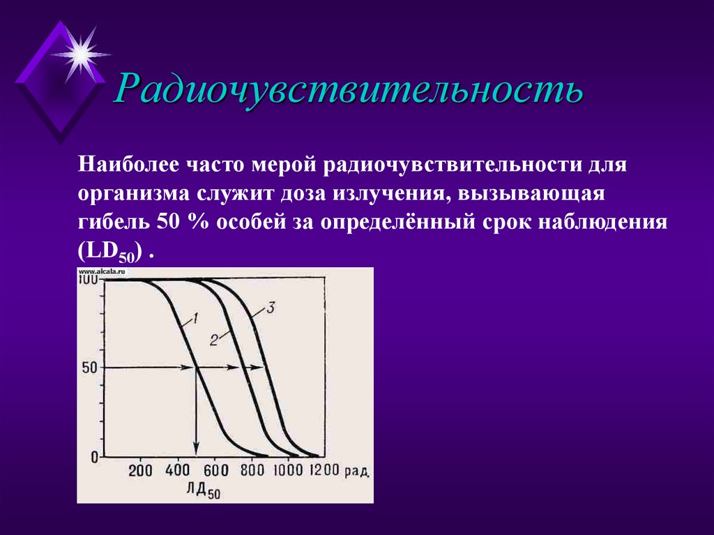 Радиочувствительность