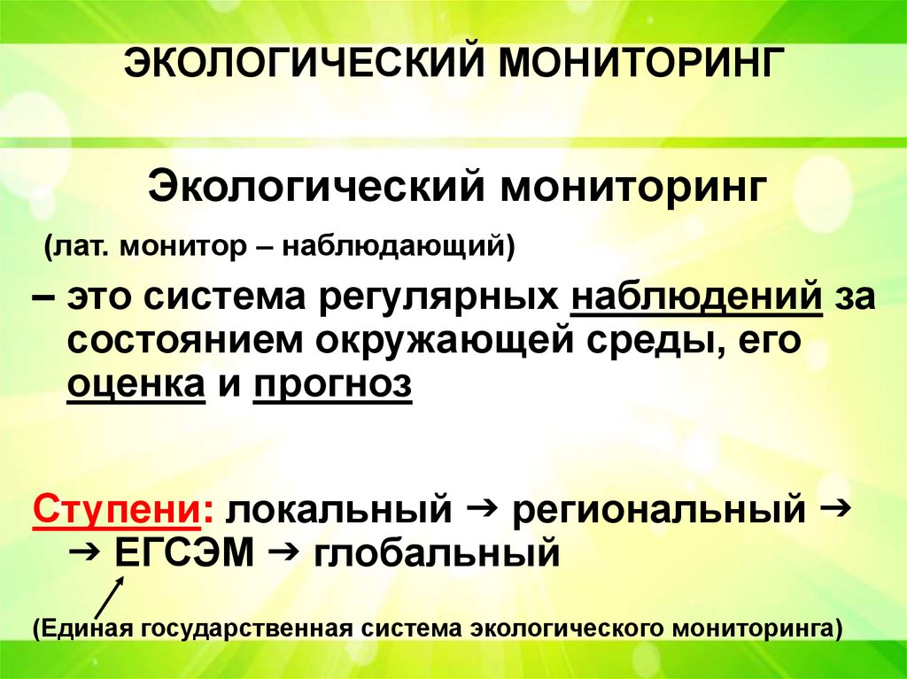 ЭКОЛОГИЧЕСКИЙ МОНИТОРИНГ