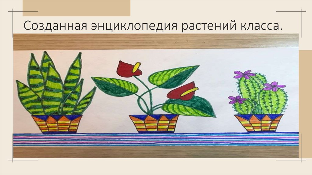 Созданная энциклопедия растений класса.