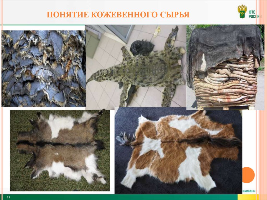 Понятие кожевенного сырья