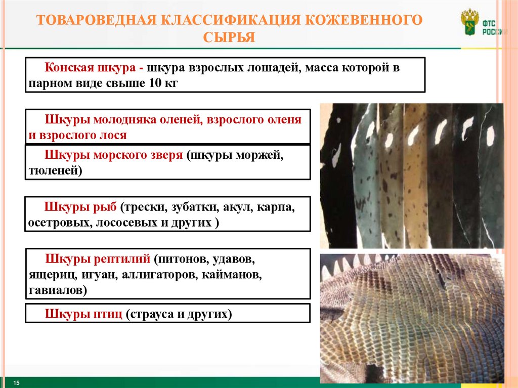 Товароведная классификация кожевенного сырья