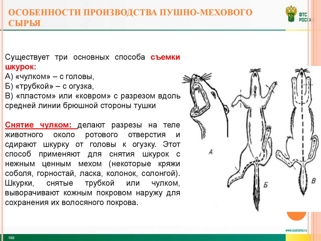 Особенности производства пушно-мехового сырья