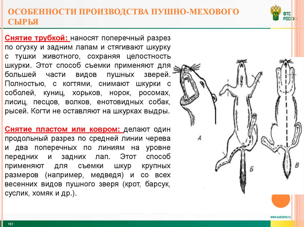 Особенности производства пушно-мехового сырья
