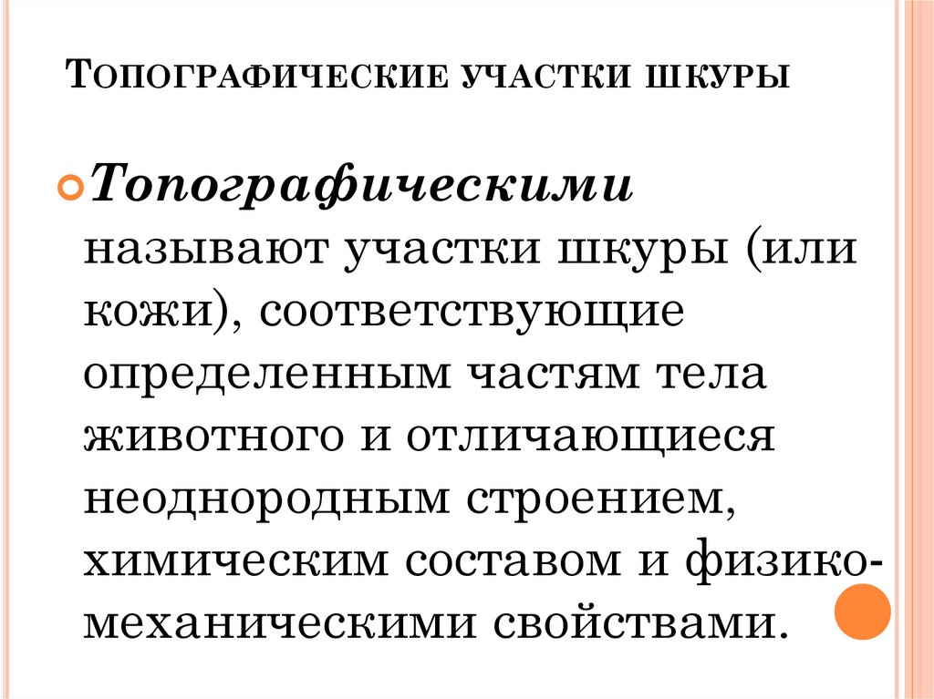 Топографические участки шкуры