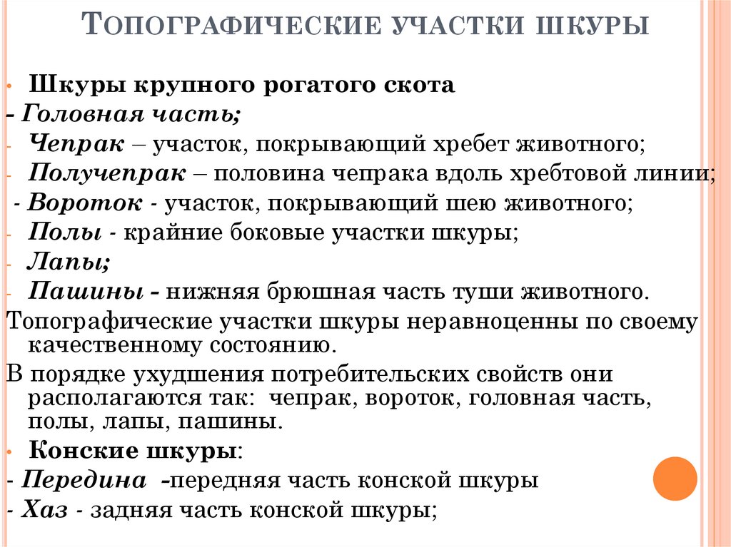 Топографические участки шкуры