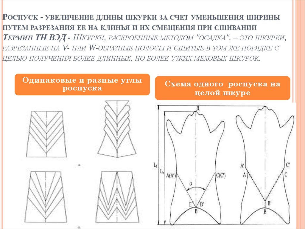 Роспуск - увеличение длины шкурки за счет уменьшения ширины путем разрезания ее на клинья и их смещения при сшивании Термин ТН