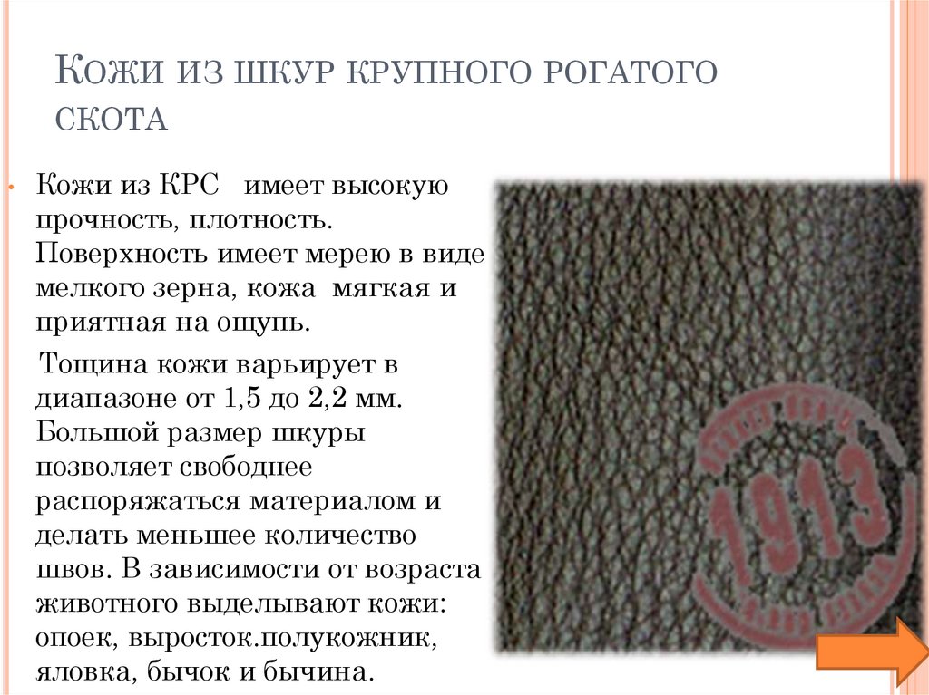 Кожи из шкур крупного рогатого скота