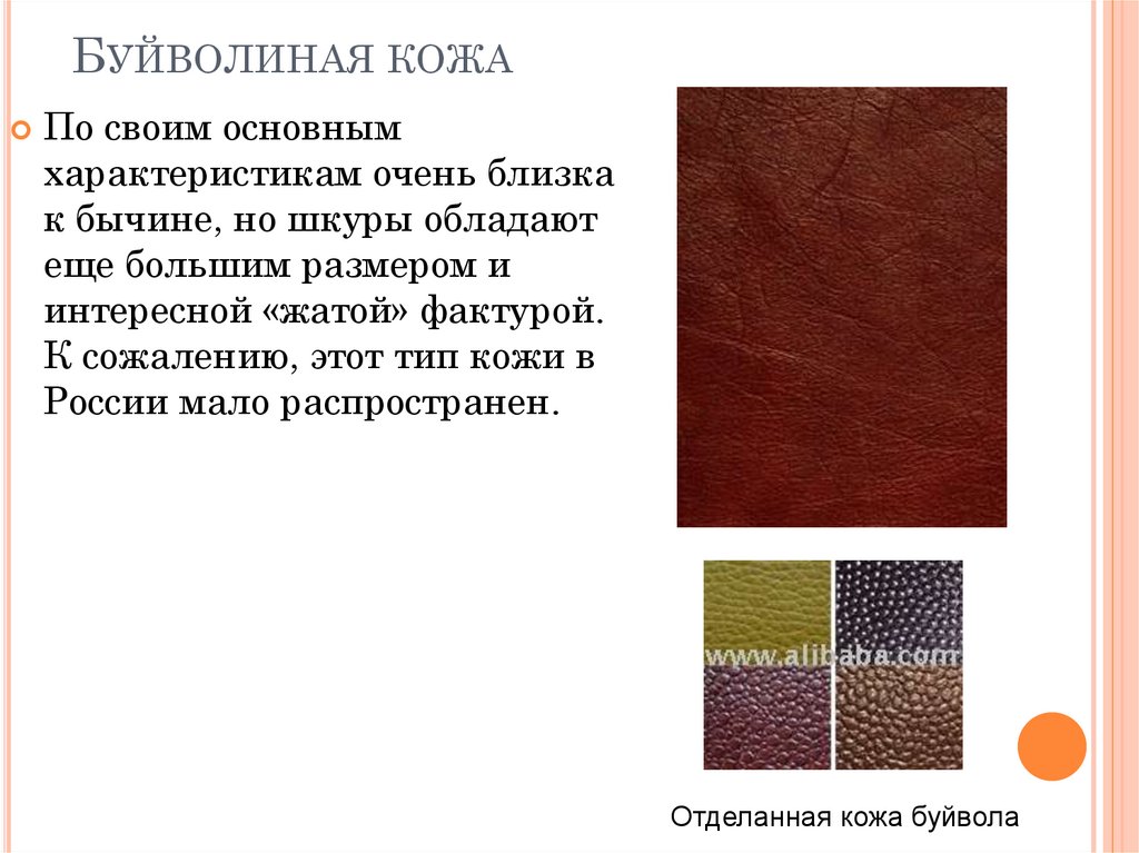 Буйволиная кожа