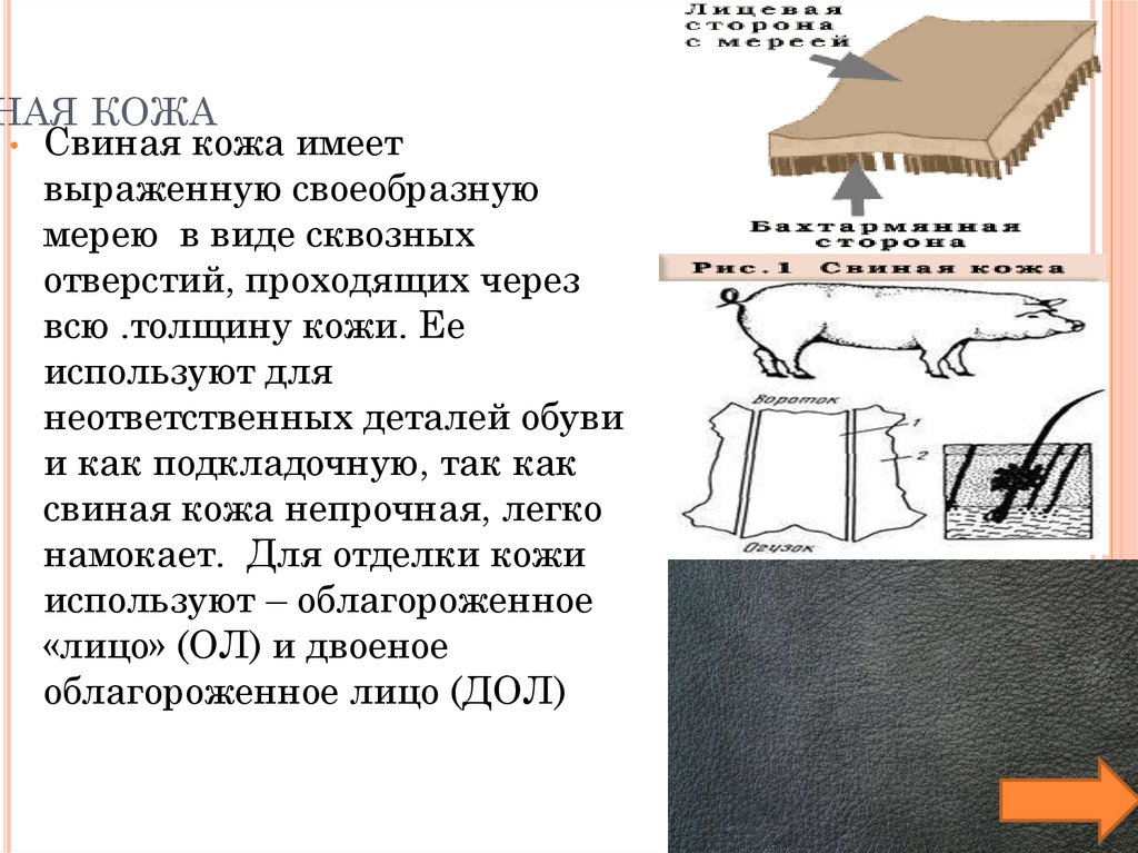 Свиная кожа