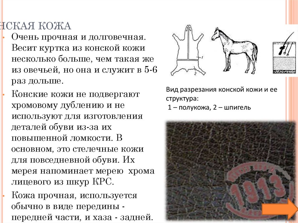 Конская кожа