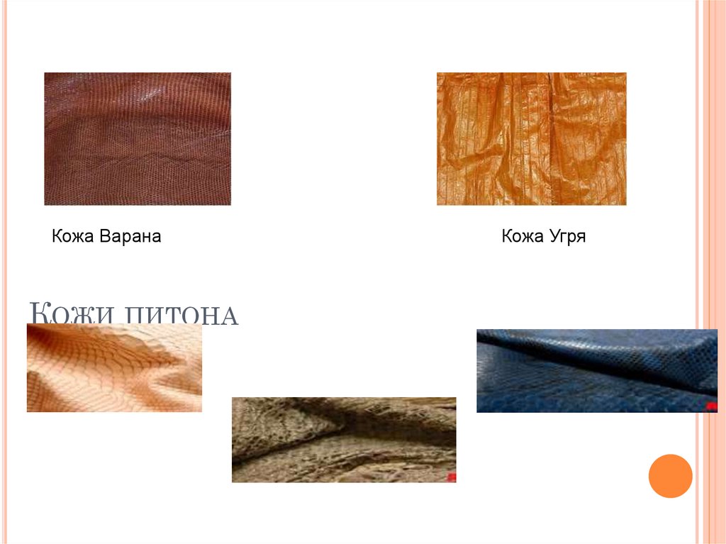 Кожи питона