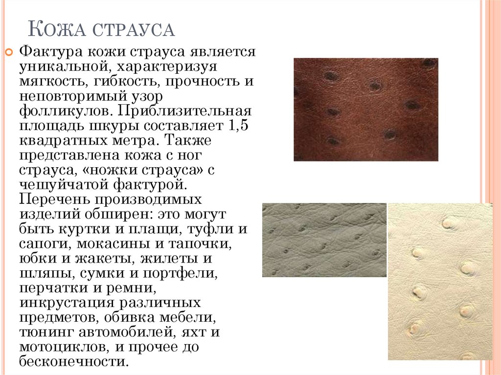 Кожа страуса