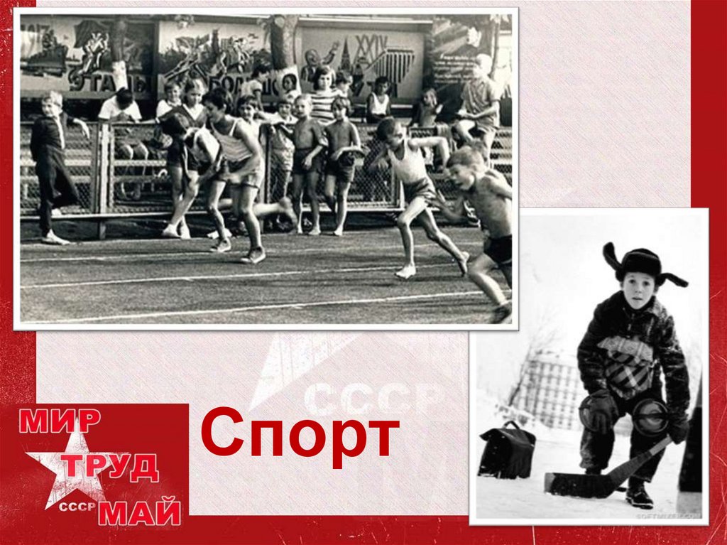 Спорт