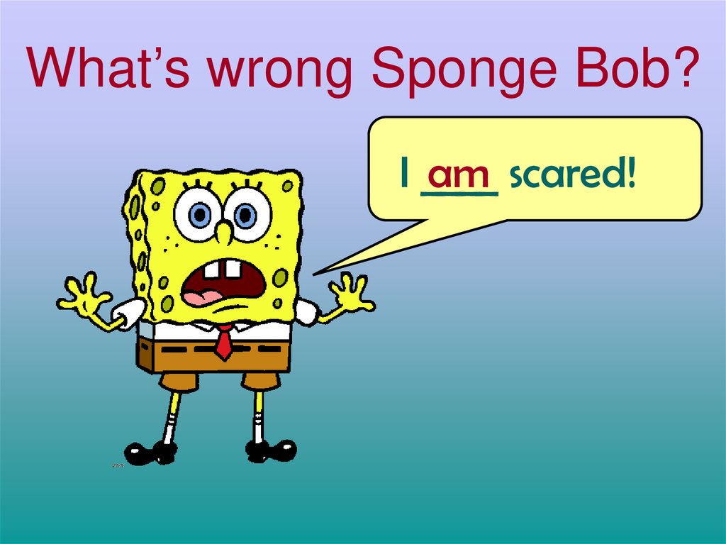 What’s wrong Sponge Bob?