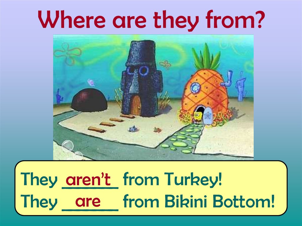 Where are they from?