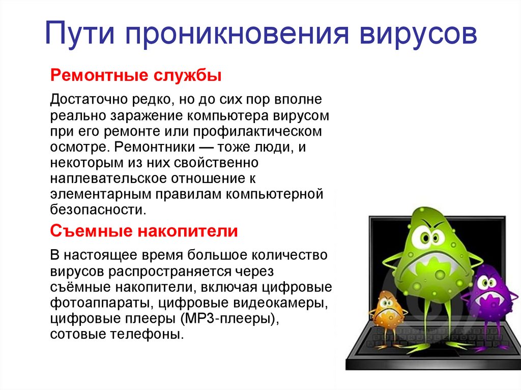 Пути проникновения вирусов