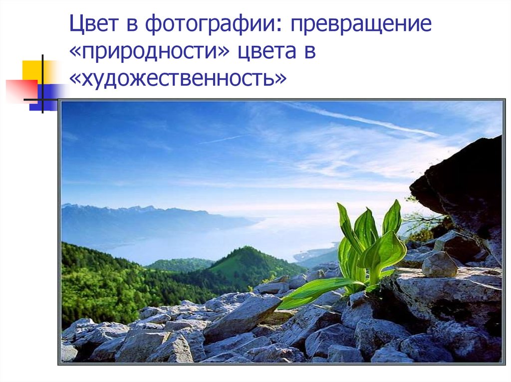 Цвет в фотографии: превращение «природности» цвета в «художественность»