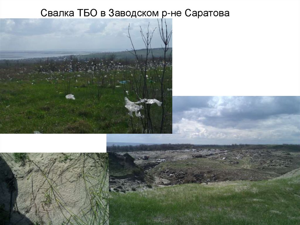 Свалка ТБО в Заводском р-не Саратова
