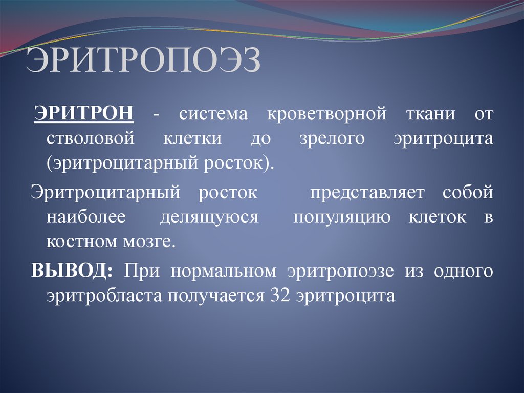 Эритроциты