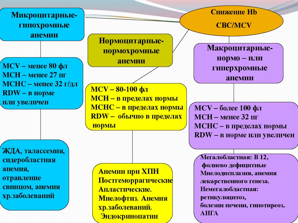 Клинические проявления анемии
