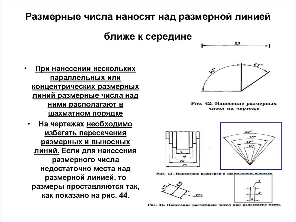 Размерные числа наносят над размерной линией ближе к середине