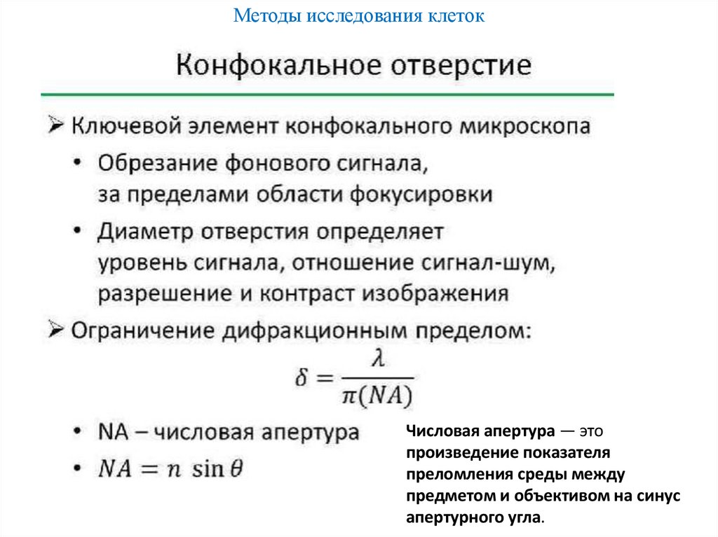 Методы исследования клеток