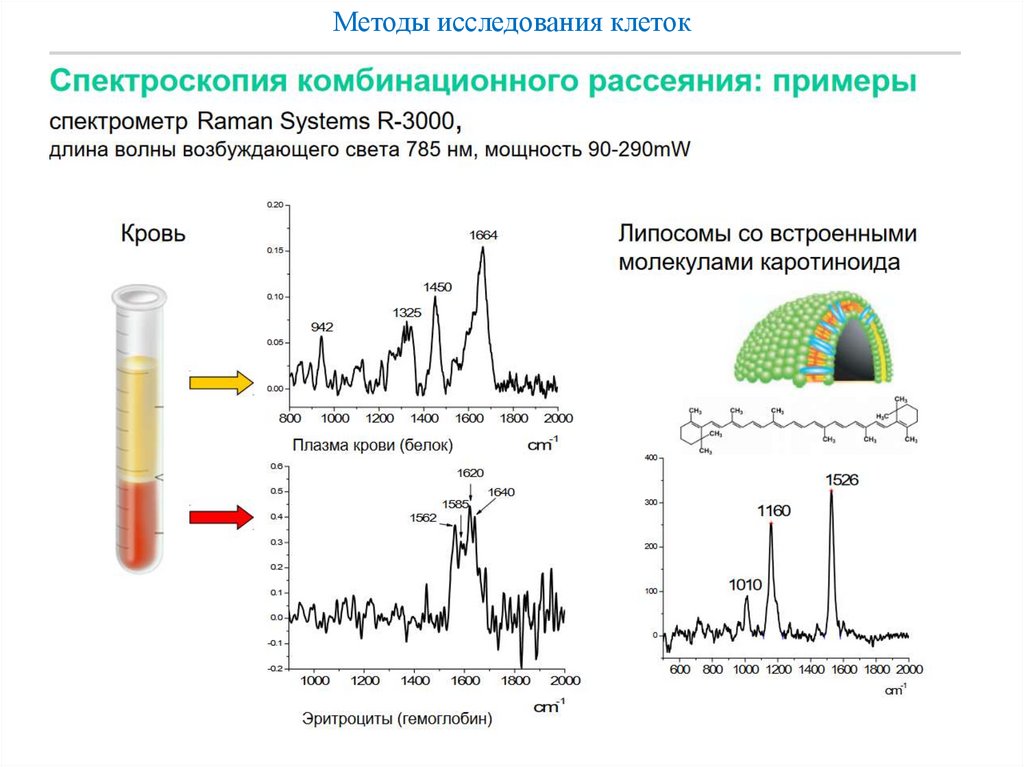 Методы исследования клеток