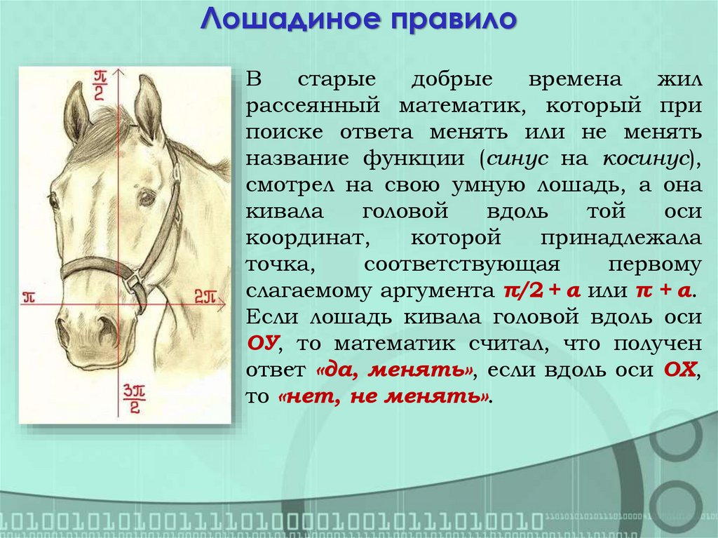 Лошадиное правило