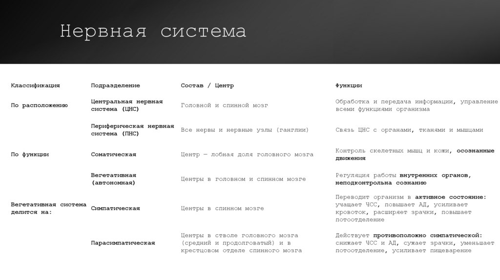 Нервная система