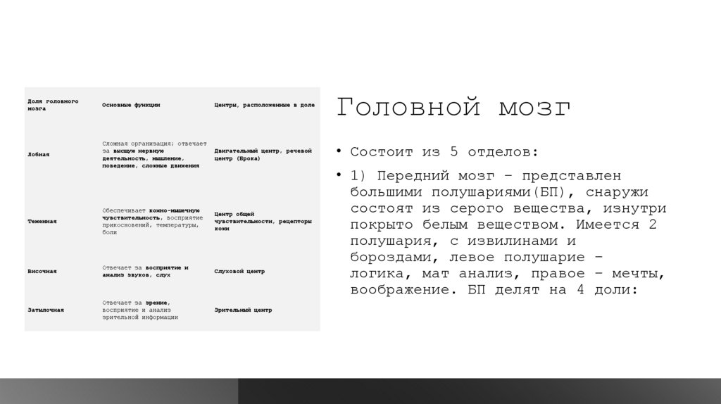 Головной мозг