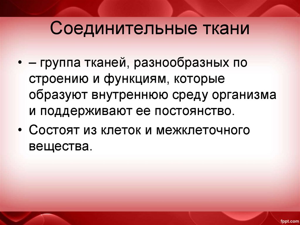 Соединительные ткани