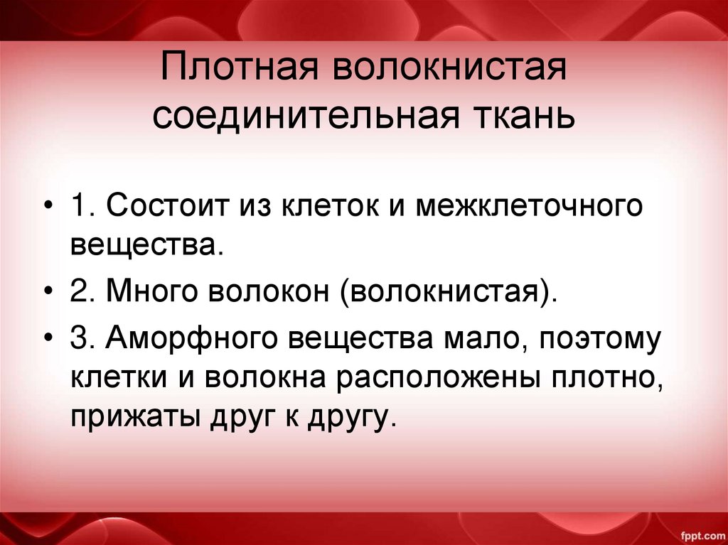 Плотная волокнистая соединительная ткань