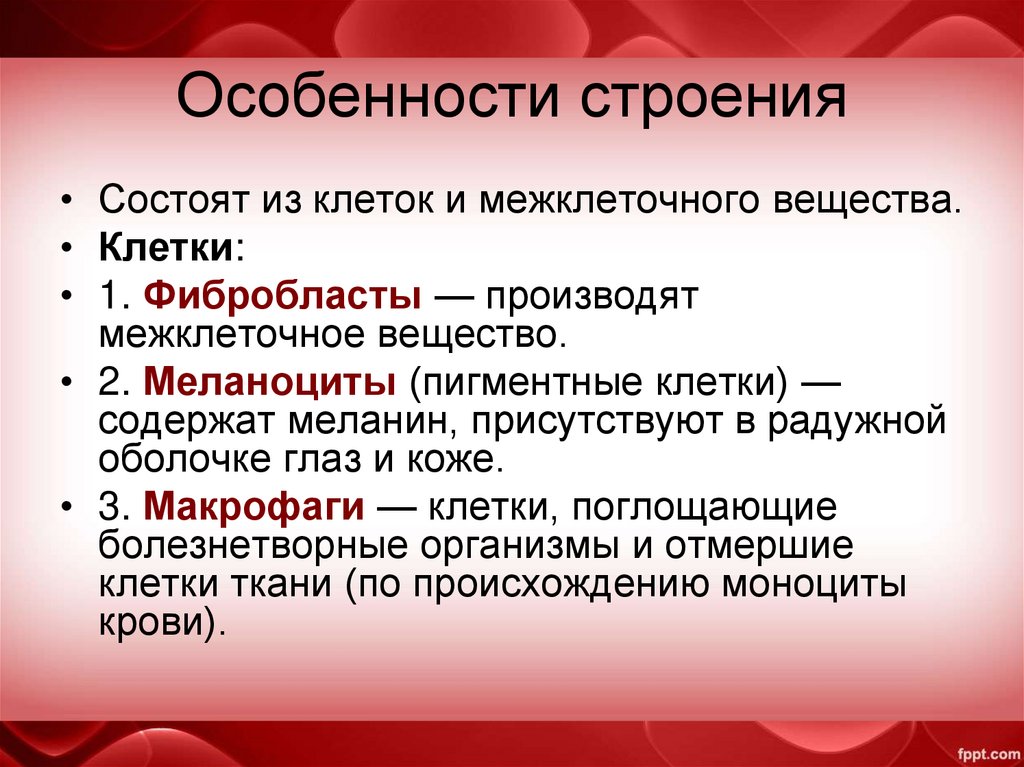 Особенности строения