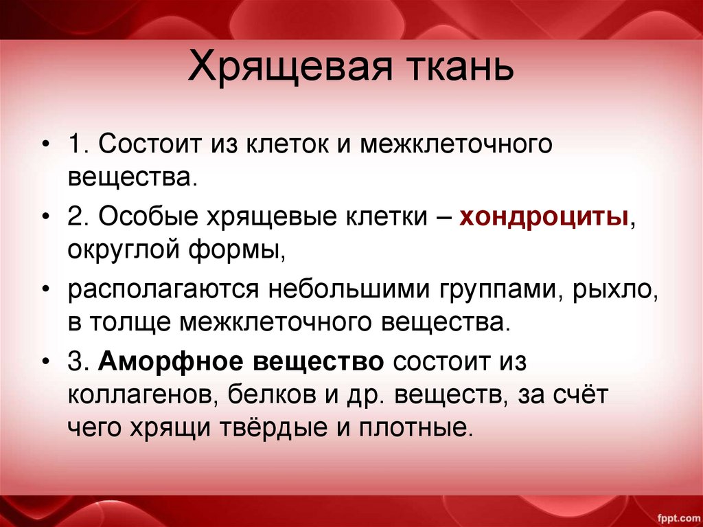 Хрящевая ткань