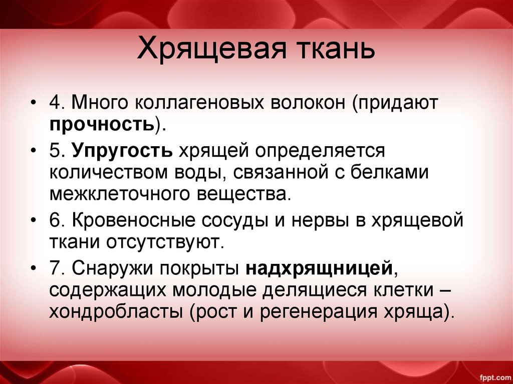 Хрящевая ткань