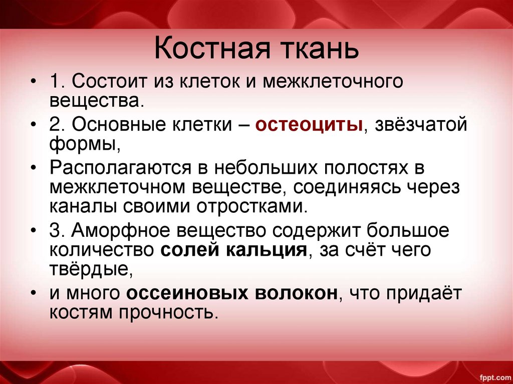 Костная ткань