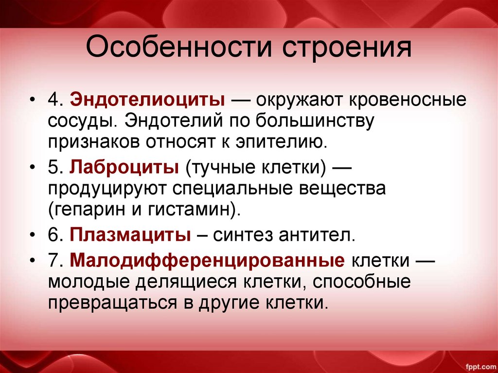 Особенности строения