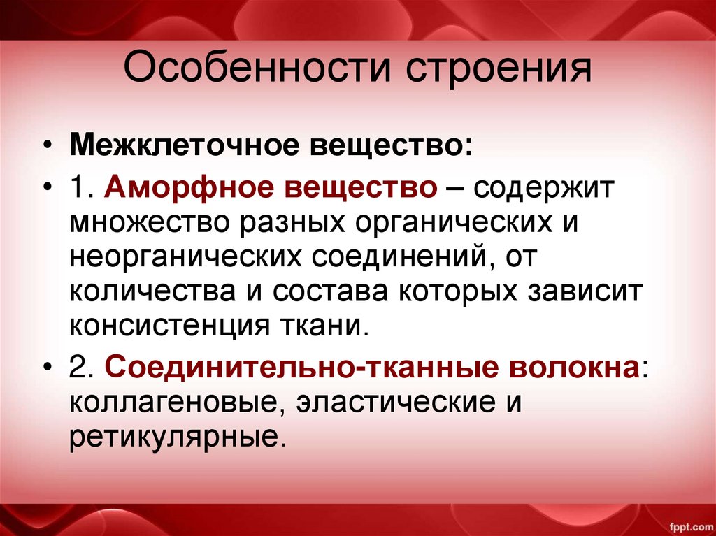 Особенности строения