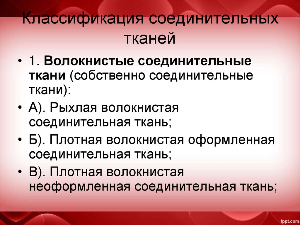 Классификация соединительных тканей