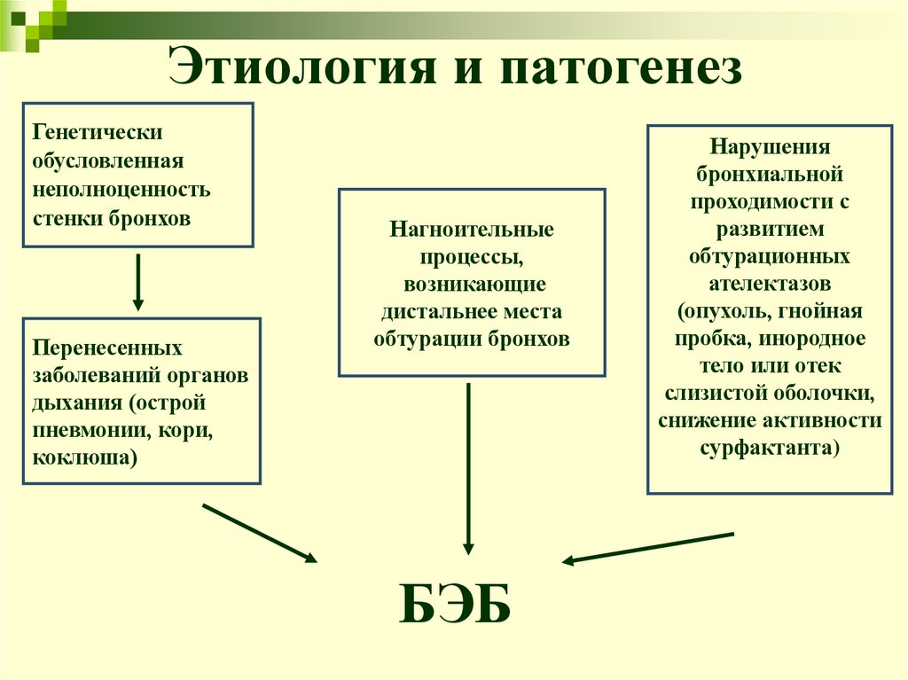 Этиология и патогенез