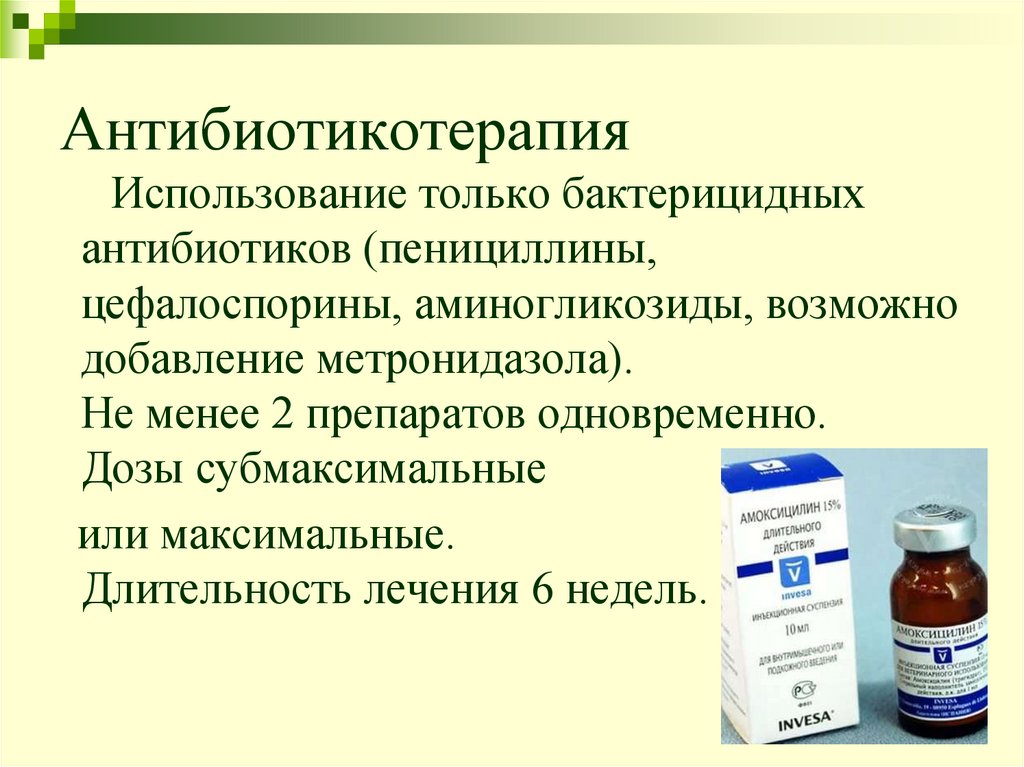 Антибиотикотерапия