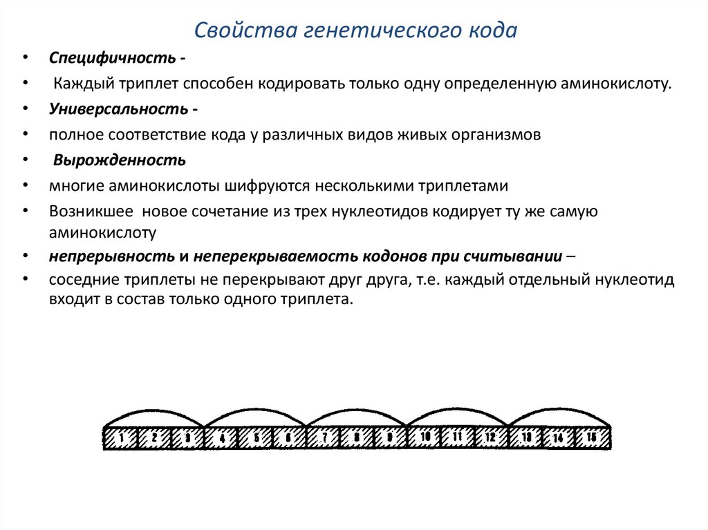 Свойства генетического кода