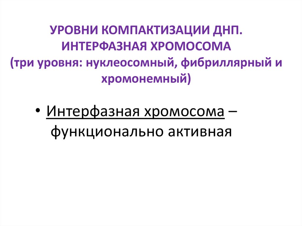 УРОВНИ КОМПАКТИЗАЦИИ ДНП. ИНТЕРФАЗНАЯ ХРОМОСОМА (три уровня: нуклеосомный, фибриллярный и хромонемный)