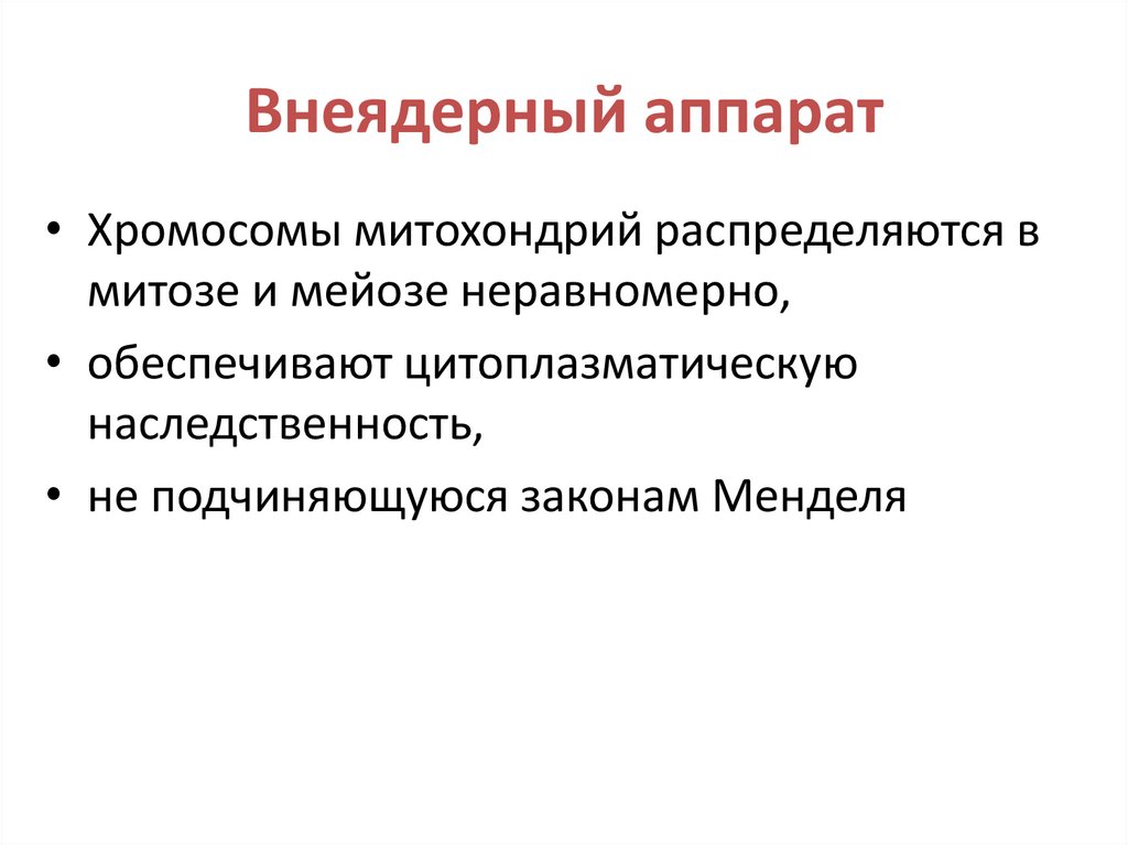 Внеядерный аппарат