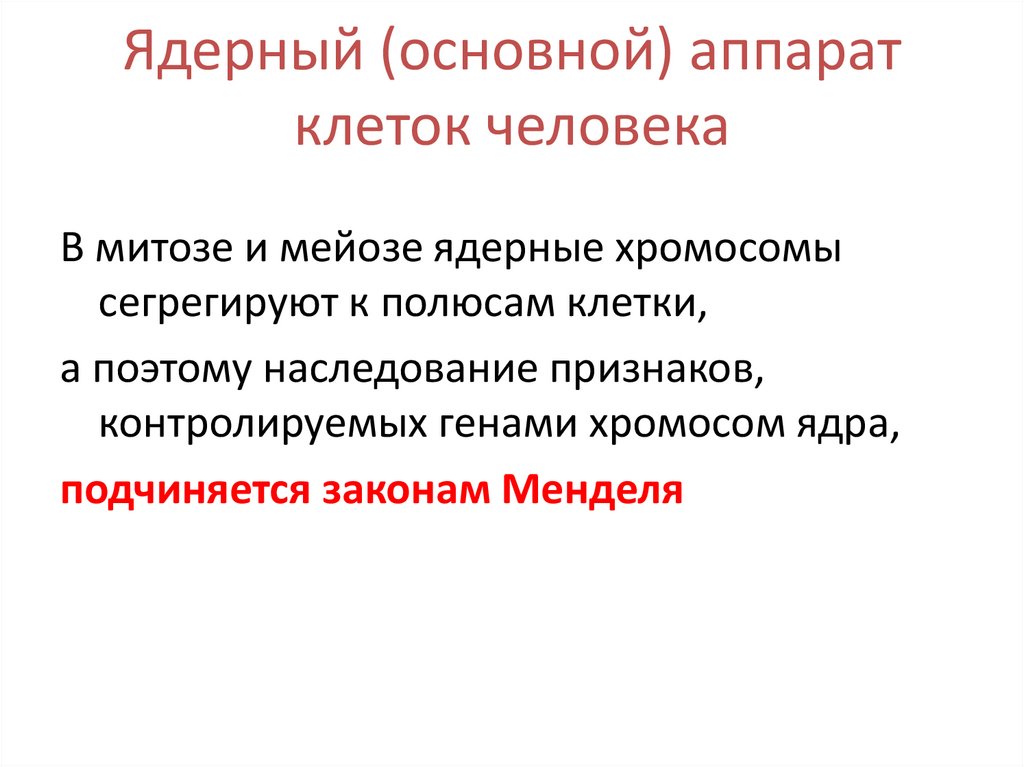Ядерный (основной) аппарат клеток человека