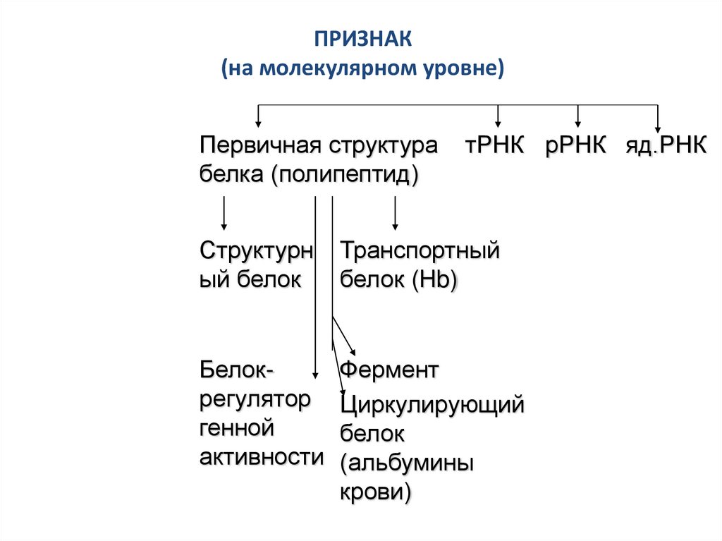 ПРИЗНАК (на молекулярном уровне)